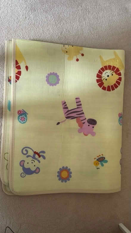 Photo of free Baby play mat (Newton Leys) #1