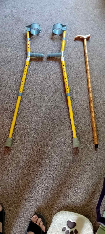 Photo of free Walking stick and a pair of crutches (Hampden Park BN22) #1