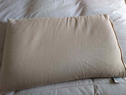 Photo of free Brow Farm Organic Buckwheat Pillow (Mold CH7) #1