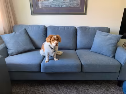 Photo of free Sofa (Burnaby) #1