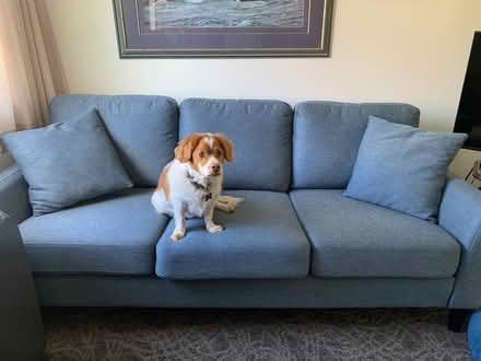 Photo of free Sofa (Burnaby) #1