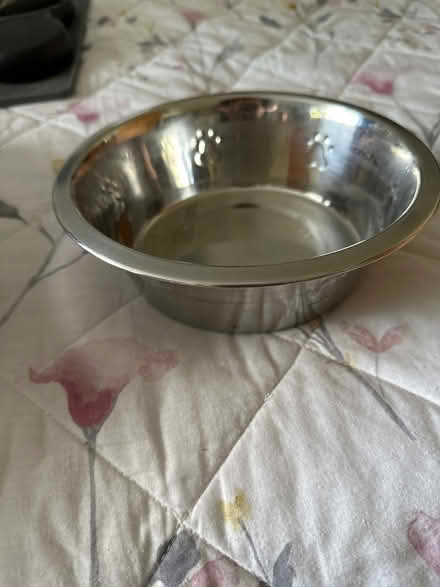 Photo of free Variety of Dog items (Drighlington BD11) #3