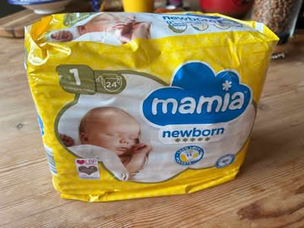 Photo of free 1 pack Aldi nappies (Lower Walkley S6) #1