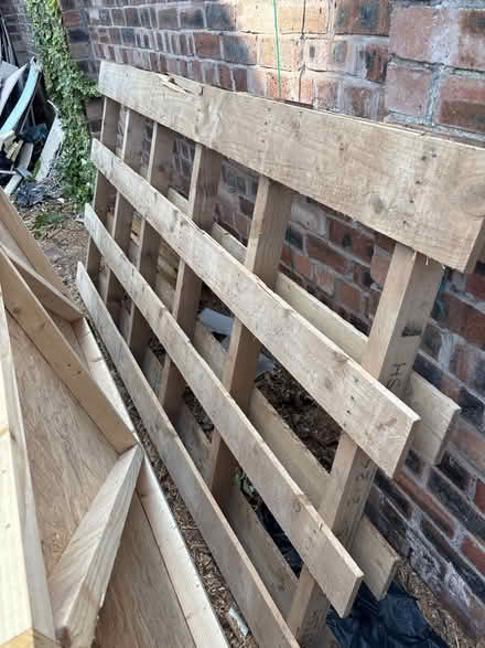 Photo of free Pallets various size (L8) #2