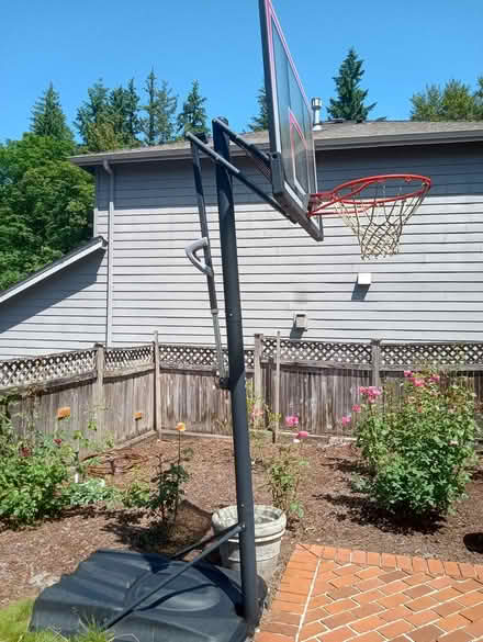 Photo of free Adjustable Basketball Hoop (China Creek) #3