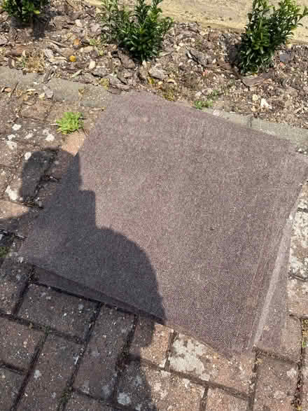 Photo of free Brown carpet tiles (Rochford SS4) #1