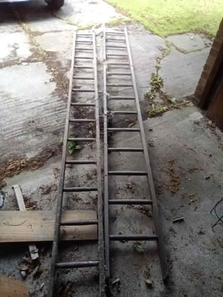 Photo of free Wooden ladder (Sheffield 7) #1
