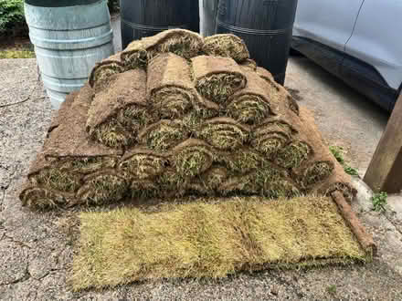Photo of free Turf (Barnstaple) #1