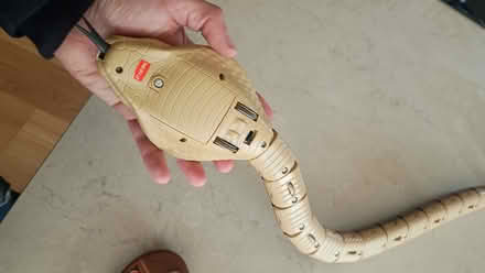 Photo of free Remote control snake toy (Baunton GL7) #3