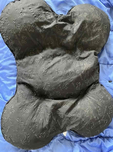 Photo of free Pet Bed - clean, washed (Knolls Crescent, Riverdale, NY) #2