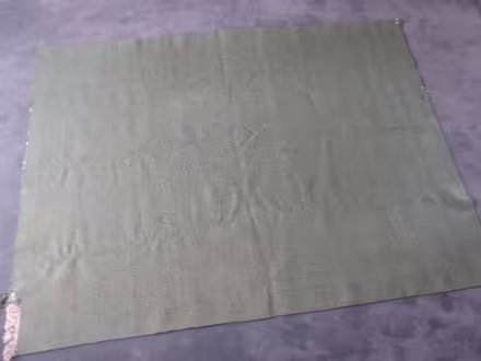 Photo of free Green Rug (Coleshill B46) #2