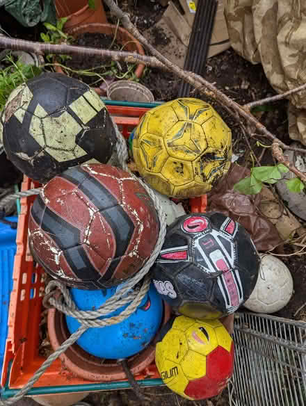 Photo of free Swings and balls (Portslade by Sea BN41) #2