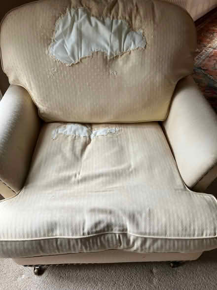 Photo of free Armchairs x 2 (Ashchurch GL20) #2