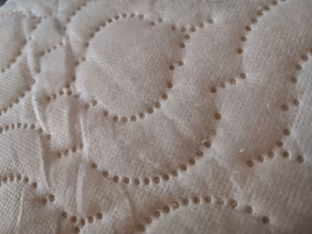 Photo of free Moses Basket Cot Mattress 74x30cm (Huntingdon PE29) #4