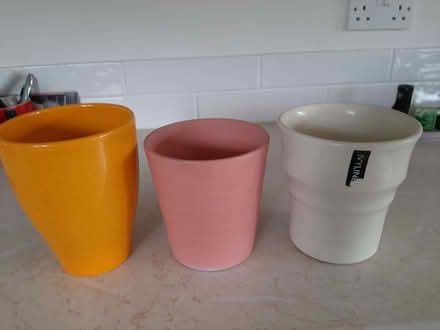 Photo of free orchid pots (Rayleigh SS6) #1