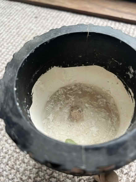 Photo of free Pot on stand small (Barry CF62) #3