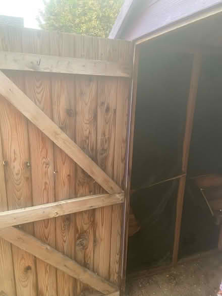 Photo of free Shed (Grange Park) #2