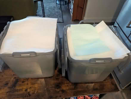 Photo of free Dinner Plate Boxes and Foam Sleeves (Spring Hill/Porter Square) #1