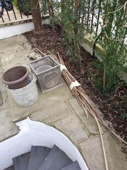 Photo of free Garden canes, buckets/pots (Kensington W8) #1