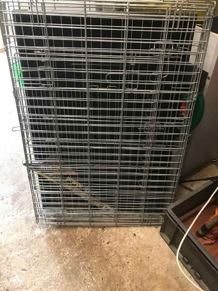 Photo of free Large dog crate (Bordon, Whitehill) #1