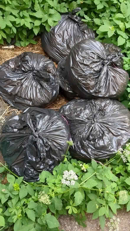 Photo of free 6 bags of manure (High Wycombe) #1