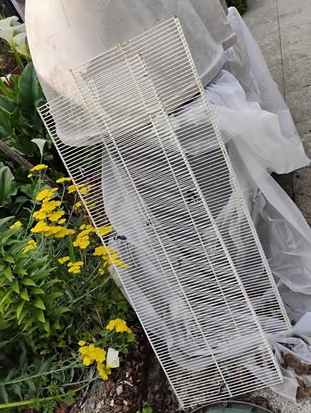 Photo of free 2 Steel wire shelves (Fremont/Greenwood) #1