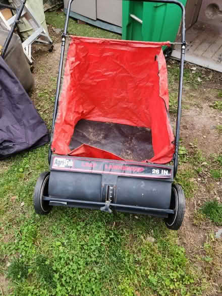 Photo of free leaf and lawn scrap sweeper (Temple Hills,MD) #3