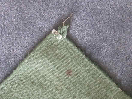 Photo of free Green Rug (Coleshill B46) #3