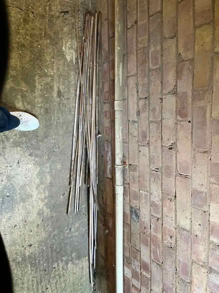 Photo of free Bamboo canes (Poplars SG2) #1