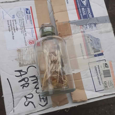 Photo of free Glass jar with dried grasses (Livingston EH54) #2