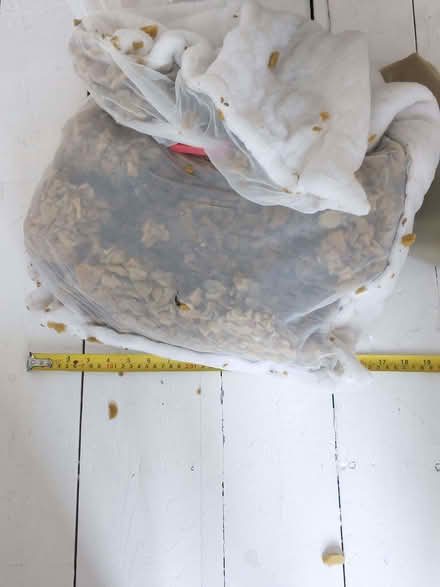 Photo of free Foam crumb for cushion filling (Cobham KT11) #1