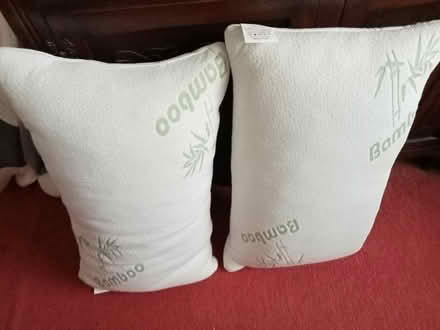 Photo of free Bamboo Pillows (Lower Broadheath, WR2 6QS) #1