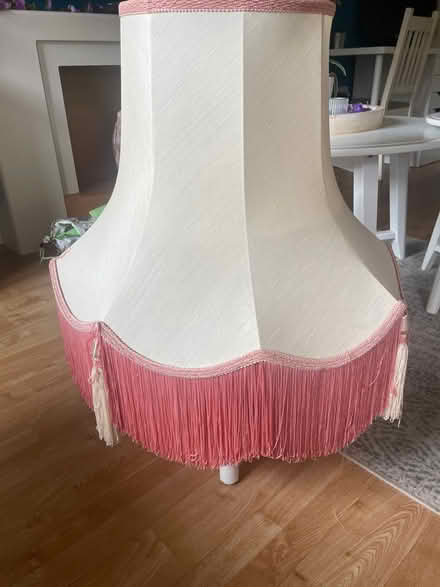 Photo of free Large standard lamp shade (Diglis WR5) #1