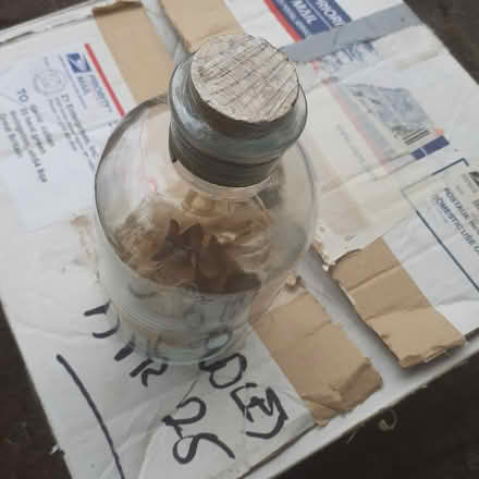 Photo of free Glass jar with dried grasses (Livingston EH54) #1