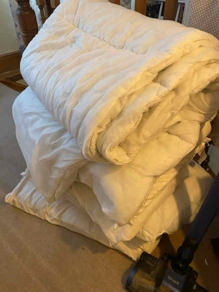 Photo of free Duvets and pillows (Market Drayton) #1