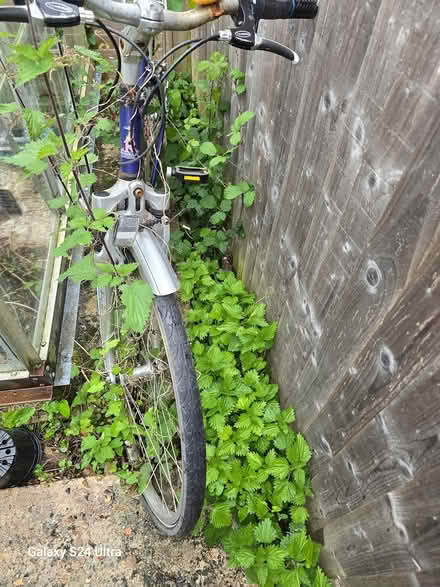 Photo of free Teen bike (RG10 Hurst) #1