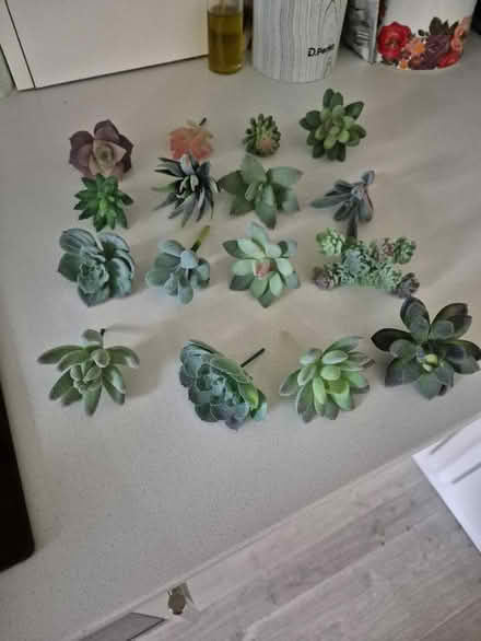 Photo of free Two terrariums (Tunbridge wells) #1
