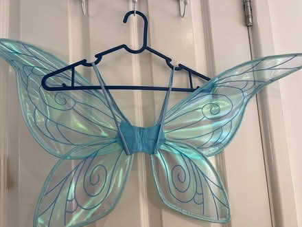 Photo of free Blue fairy wings (Bevendean BN2) #1