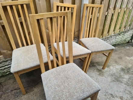 Photo of free Four dining chairs. (Hackenthorpe S12) #1