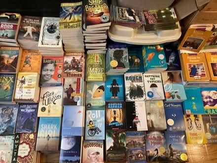 Photo of free Books galore (Bronx) #2
