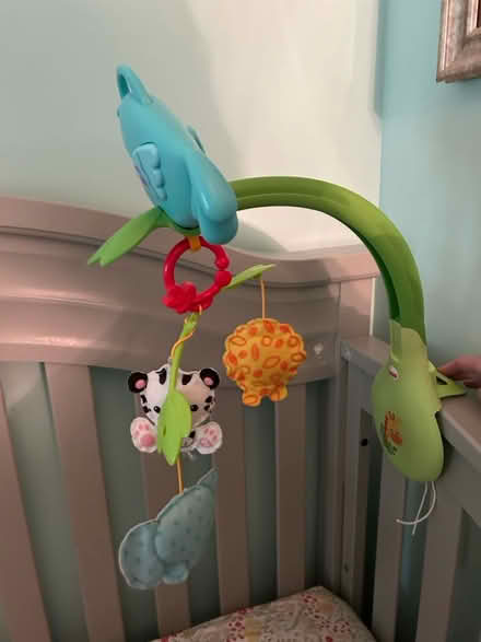 Photo of free Fisher Price Animal Mobile (Falls Rd & Falls Chapel Way) #1
