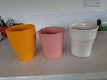 Photo of free orchid pots (Rayleigh SS6) #2