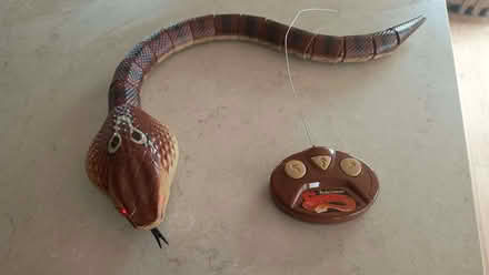 Photo of free Remote control snake toy (Baunton GL7) #4