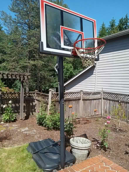 Photo of free Adjustable Basketball Hoop (China Creek) #2