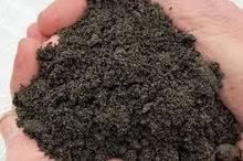 Photo of Compost and fertiliser (Swindon SN3) #1