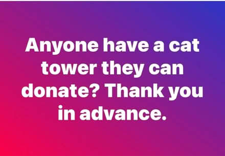 Photo of Cat tower (Norwalk, Ohio) #1