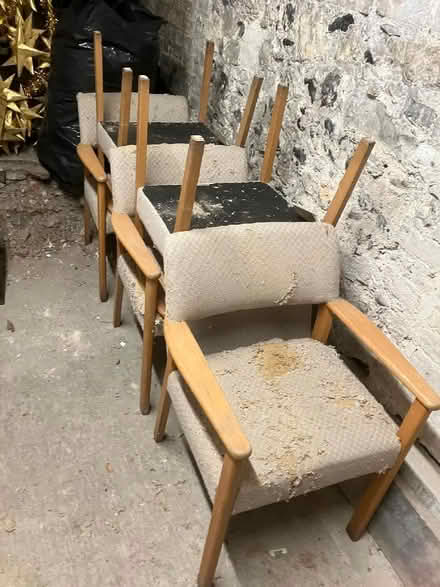Photo of free Chairs (Ladywell SE13) #1