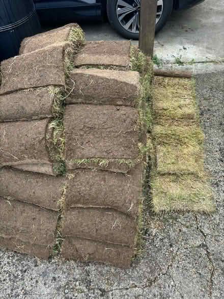 Photo of free Turf (Barnstaple) #2