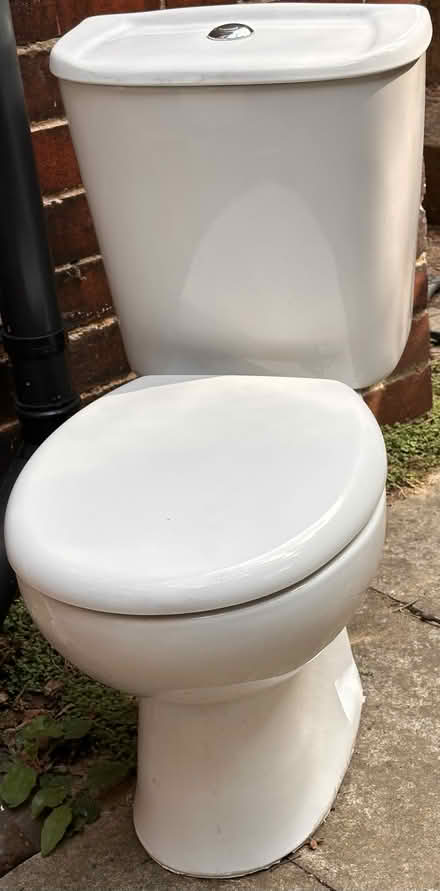 Photo of free Loo looking for a new home (Sharrowvale Vale, S11) #1