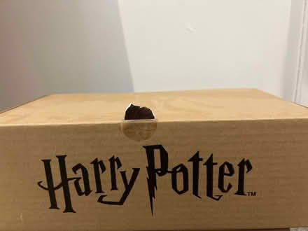 Photo of free Harry Potter Slytherin scarf kit (Bevendean BN2) #1
